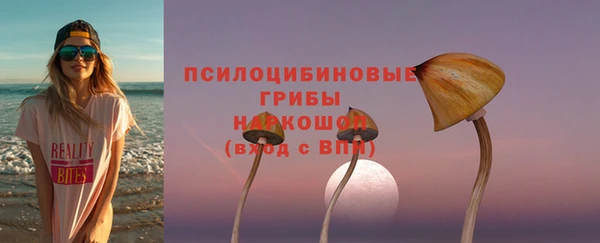 сатива Алзамай