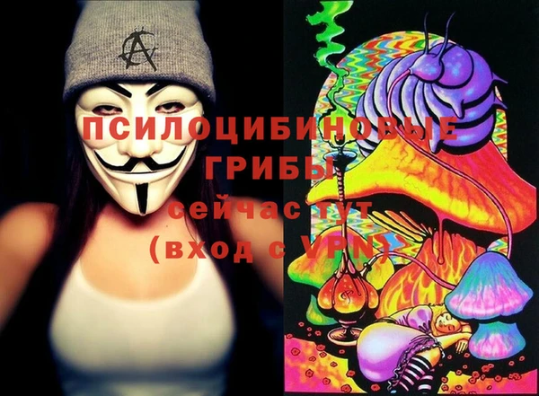бошки Струнино