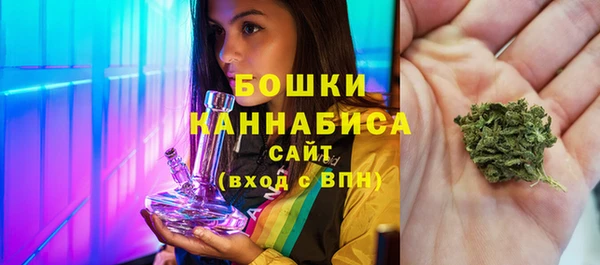 сатива Алзамай